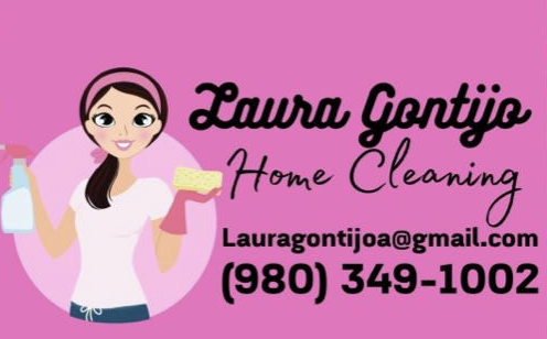 Laura's Clean Solution